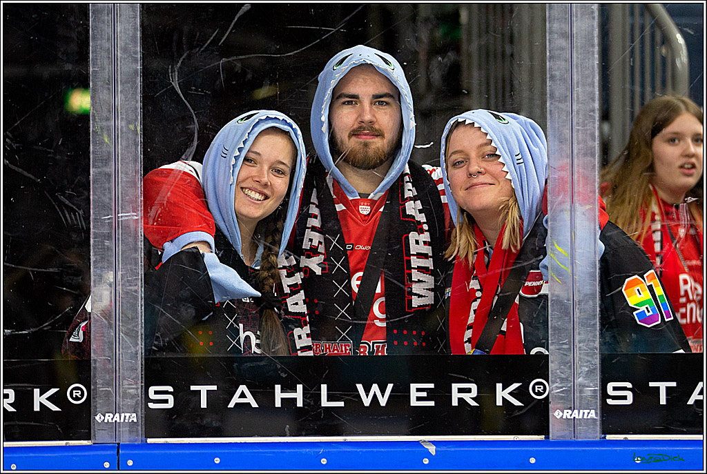 PENNY DEL; Koelner Haie-Bietigheim Steelers; Koeln, 05.03.2023